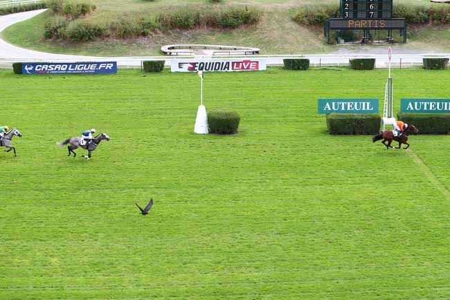Photo d'arrivée de la course pmu PRIX JULIEN DECRION à AUTEUIL le Mercredi 28 septembre 2016