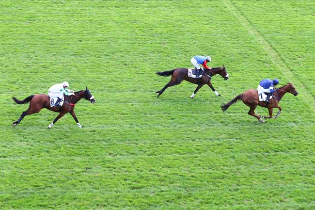 Photo d'arrivée de la course pmu PRIX PIERRE ET JEAN-MARIE MERCIER à AUTEUIL le Mercredi 28 septembre 2016