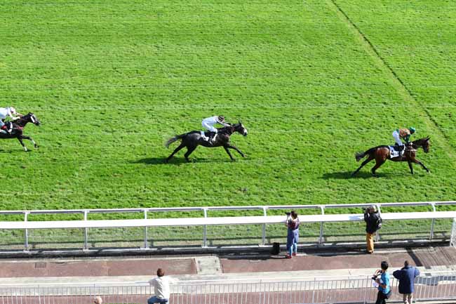 Photo d'arrivée de la course pmu PRIX VIVIENNE à AUTEUIL le Mercredi 28 septembre 2016