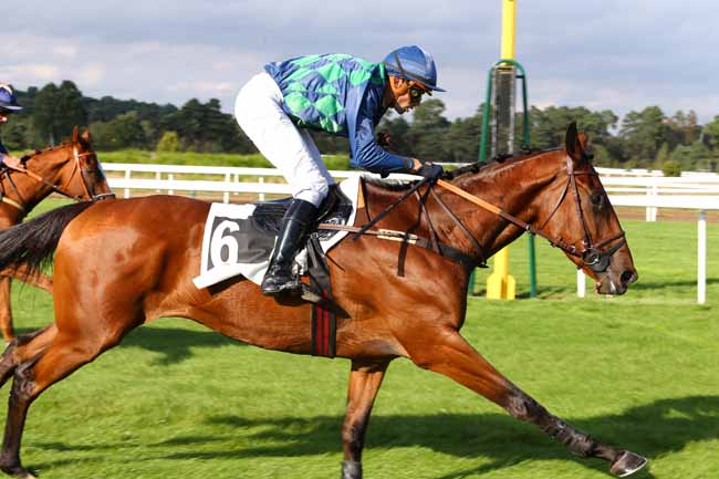 Photo d'arrivée de la course pmu PRIX ANDRE PAROT à FONTAINEBLEAU le Jeudi 29 septembre 2016