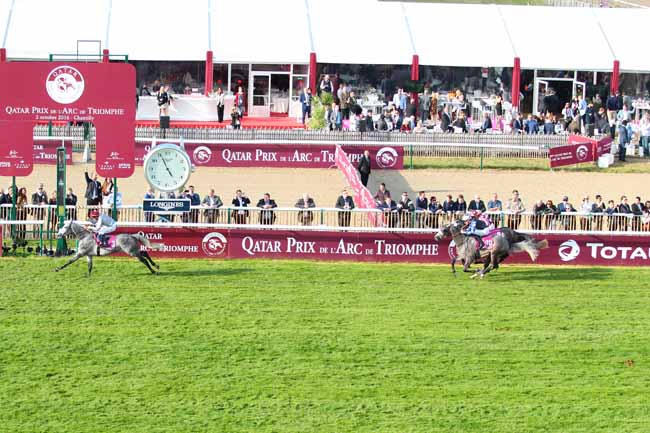 Photo d'arrivée de la course pmu QATAR ARABIAN WORLD CUP à CHANTILLY le Dimanche 2 octobre 2016