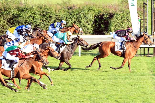 Photo d'arrivée de la course pmu PRIX DU ROND BOILEAU à MAISONS-LAFFITTE le Lundi 3 octobre 2016