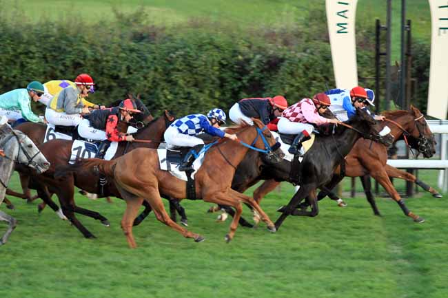 Photo d'arrivée de la course pmu PRIX DE LA BUTTE RONDE à MAISONS-LAFFITTE le Lundi 3 octobre 2016