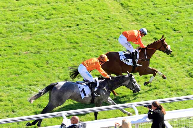 Photo d'arrivée de la course pmu PRIX GUILLAUME DE PRACOMTAL à AUTEUIL le Mardi 4 octobre 2016