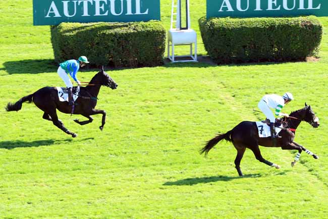 Photo d'arrivée de la course pmu PRIX BAYONNET à AUTEUIL le Mardi 4 octobre 2016