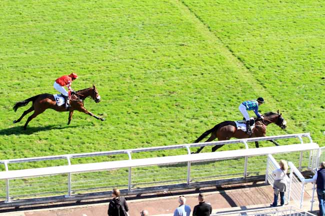 Photo d'arrivée de la course pmu PRIX CLAUDE LE LORRAIN - PRIX JOSEPH AUDON à AUTEUIL le Mardi 4 octobre 2016