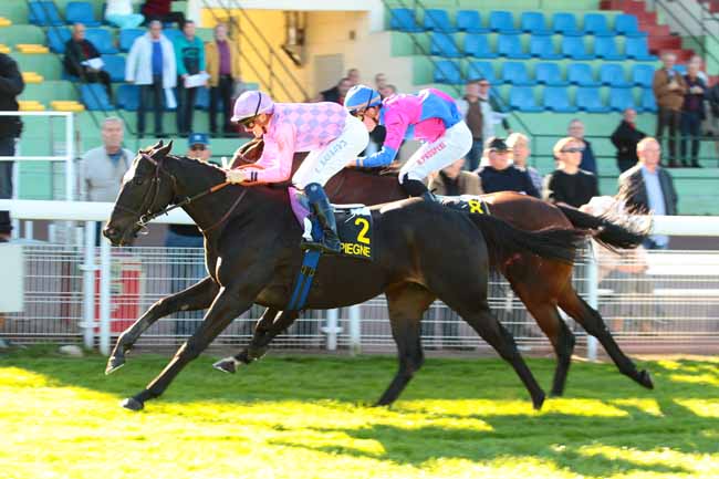 Photo d'arrivée de la course pmu PRIX DE LA DIVETTE à COMPIEGNE le Mardi 4 octobre 2016