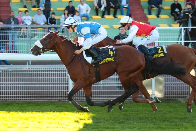 Photo d'arrivée de la course pmu PRIX DU MONT SAINT-JEAN à COMPIEGNE le Mardi 4 octobre 2016
