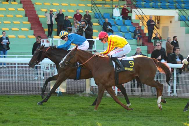 Photo d'arrivée de la course pmu PRIX DES FUTAIES à COMPIEGNE le Mardi 4 octobre 2016