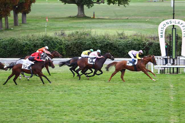 Photo d'arrivée de la course pmu PRIX DE LA ROUTE NEUVE à MAISONS-LAFFITTE le Vendredi 7 octobre 2016