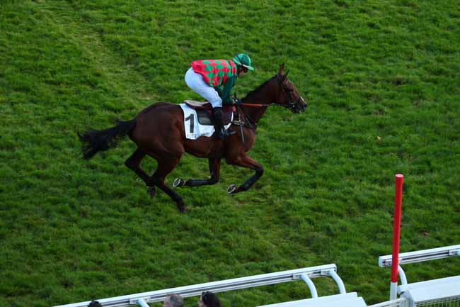 Photo d'arrivée de la course pmu PRIX PAUL'S CRAY à AUTEUIL le Dimanche 9 octobre 2016