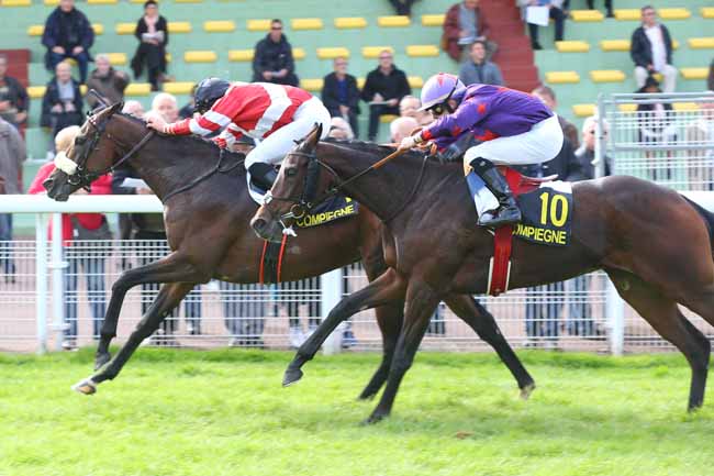 Photo d'arrivée de la course pmu PRIX DES ETANGS DE SAINT-PIERRE à COMPIEGNE le Lundi 10 octobre 2016