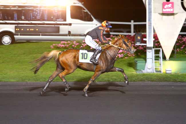 Photo d'arrivée de la course pmu PRIX MAJA à PARIS-VINCENNES le Mardi 11 octobre 2016