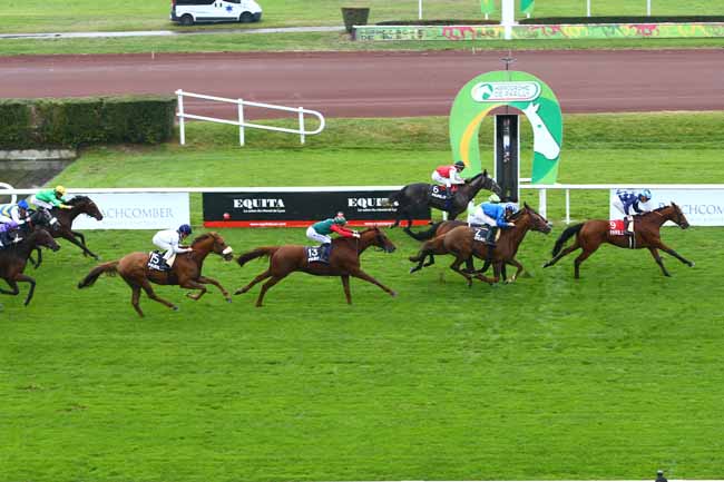 Photo d'arrivée de la course pmu PRIX DE FEDERATION DU CENTRE-EST à LYON-PARILLY le Jeudi 13 octobre 2016