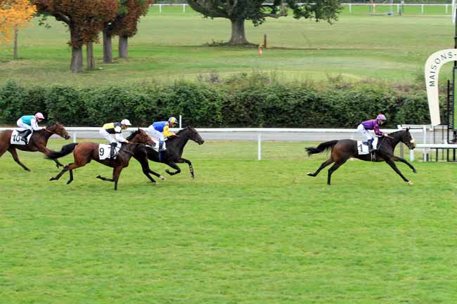 Photo d'arrivée de la course pmu PRIX BANSHEE à MAISONS-LAFFITTE le Vendredi 14 octobre 2016