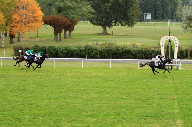 Photo d'arrivée de la course pmu PRIX DU ROND TESSE à MAISONS-LAFFITTE le Vendredi 14 octobre 2016