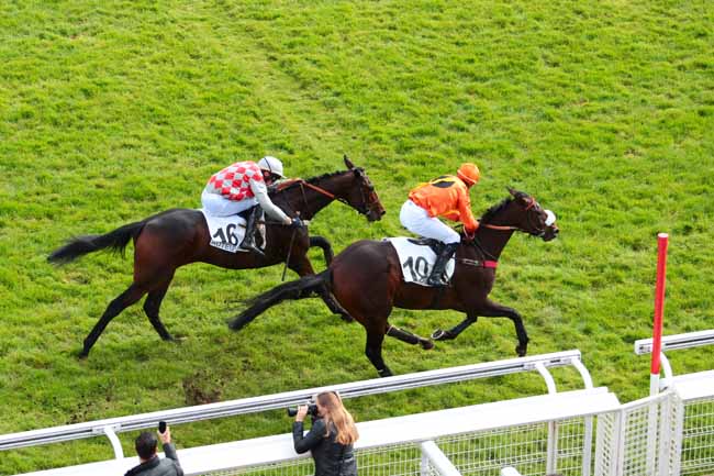 Photo d'arrivée de la course pmu PRIX ISOPANI à AUTEUIL le Samedi 15 octobre 2016