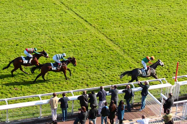 Photo d'arrivée de la course pmu PRIX PRINCE D'ECOUEN à AUTEUIL le Samedi 15 octobre 2016