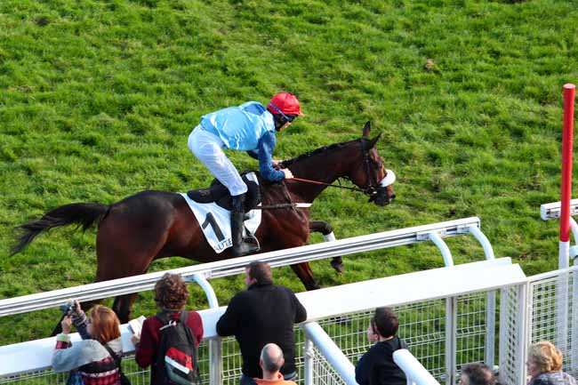 Photo d'arrivée de la course pmu PRIX PIERRE DE LASSUS à AUTEUIL le Samedi 15 octobre 2016