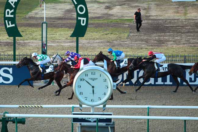 Photo d'arrivée de la course pmu PRIX DU MANEGE à CHANTILLY le Dimanche 16 octobre 2016
