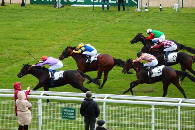 Photo d'arrivée de la course pmu PRIX D'ENGLESQUEVILLE à DEAUVILLE le Jeudi 20 octobre 2016