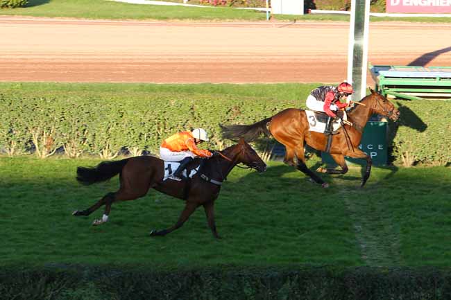 Photo d'arrivée de la course pmu PRIX ROGER SAINT à ENGHIEN le Samedi 22 octobre 2016