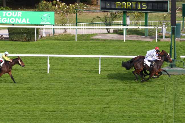 Photo d'arrivée de la course pmu PRIX DE LA RAPEE à SAINT-CLOUD le Dimanche 23 octobre 2016