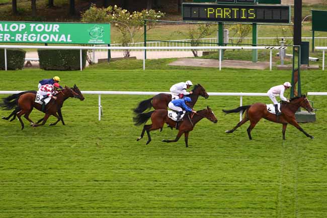Photo d'arrivée de la course pmu PRIX DE FLORE à SAINT-CLOUD le Dimanche 23 octobre 2016