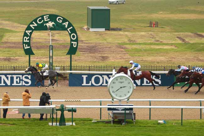 Photo d'arrivée de la course pmu PRIX DU BUISSON CREUX à CHANTILLY le Lundi 24 octobre 2016