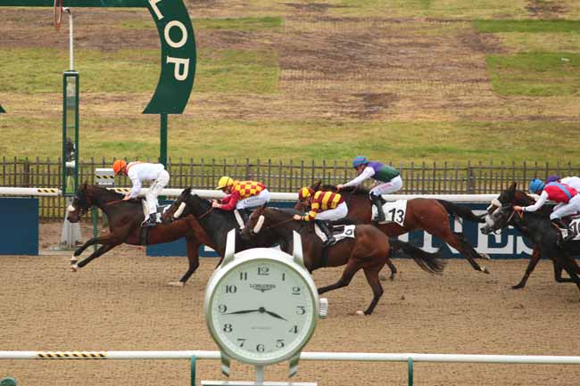 Photo d'arrivée de la course pmu PRIX D'AUMONT-EN-HALATTE à CHANTILLY le Lundi 24 octobre 2016