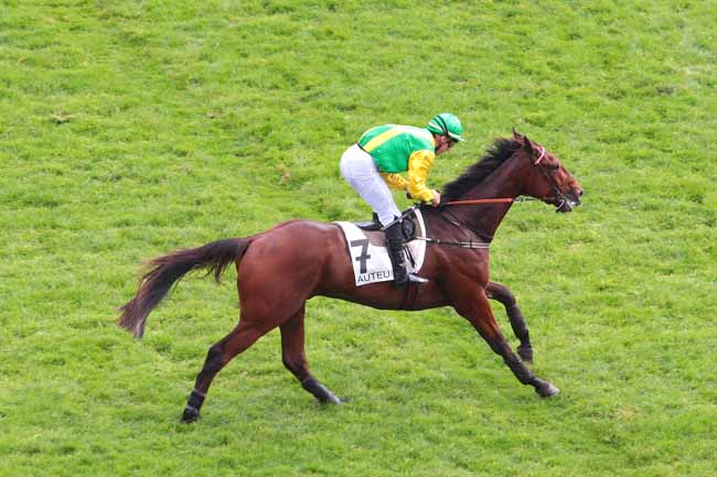 Photo d'arrivée de la course pmu PRIX ROBERT BATES à AUTEUIL le Mardi 25 octobre 2016