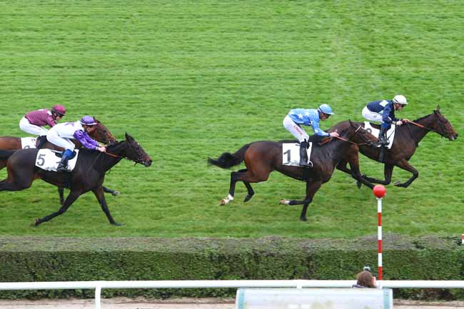 Photo d'arrivée de la course pmu PRIX KASTEEL à SAINT-CLOUD le Mercredi 26 octobre 2016