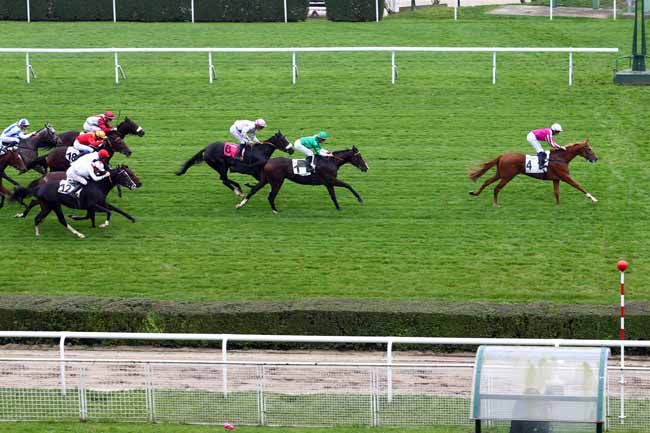 Photo d'arrivée de la course pmu PRIX DU MANOIR à SAINT-CLOUD le Mercredi 26 octobre 2016