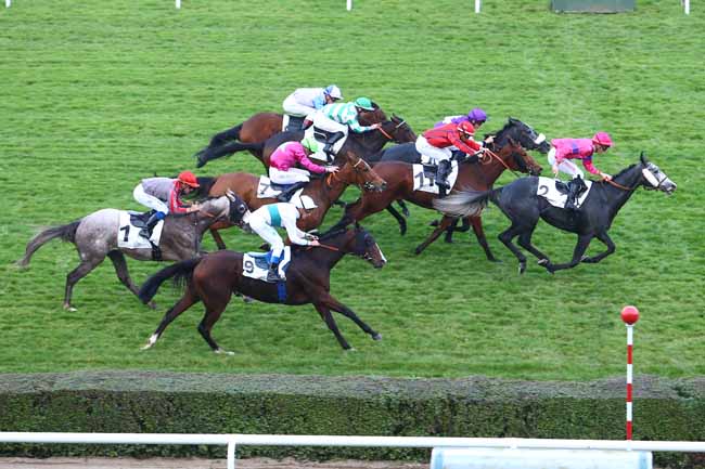 Photo d'arrivée de la course pmu PRIX DE CHEMOITOU à SAINT-CLOUD le Mercredi 26 octobre 2016