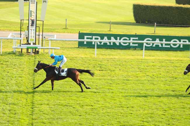 Photo d'arrivée de la course pmu PRIX CHLORIS à MAISONS-LAFFITTE le Jeudi 27 octobre 2016