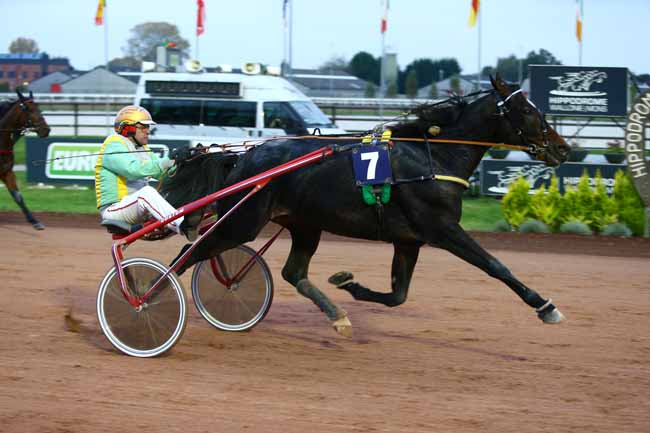 Photo d'arrivée de la course pmu PRIX LE TROT.COM à MONS (GHLIN) le Vendredi 28 octobre 2016
