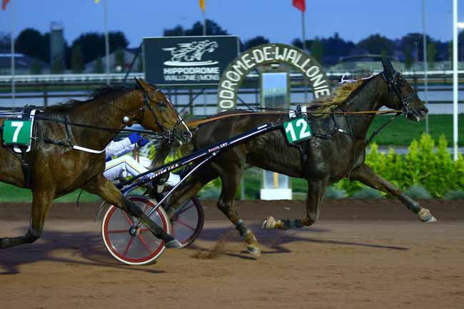 Photo d'arrivée de la course pmu GRAND PRIX PARIS-TURF à MONS (GHLIN) le Vendredi 28 octobre 2016