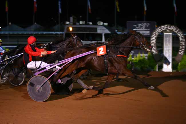 Photo d'arrivée de la course pmu PRIX MOET ET CHANDON à MONS (GHLIN) le Vendredi 28 octobre 2016