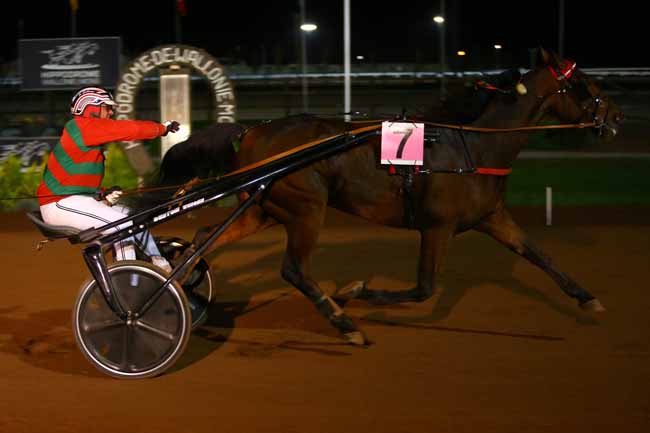 Photo d'arrivée de la course pmu PRIX TRBA à MONS (GHLIN) le Vendredi 28 octobre 2016