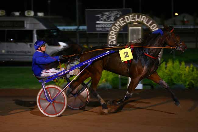 Photo d'arrivée de la course pmu PRIX DU JOURNAL EUROTIERCE à MONS (GHLIN) le Vendredi 28 octobre 2016
