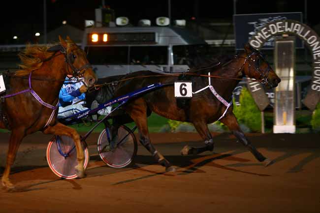 Photo d'arrivée de la course pmu PRIX PALMA DE MAJORQUE à MONS (GHLIN) le Vendredi 28 octobre 2016
