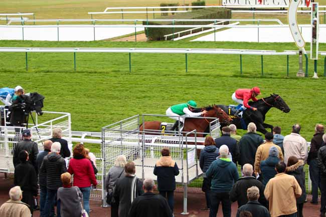 Photo d'arrivée de la course pmu PRIX DU CHATEAU DE PIERREFONDS à COMPIEGNE le Vendredi 28 octobre 2016