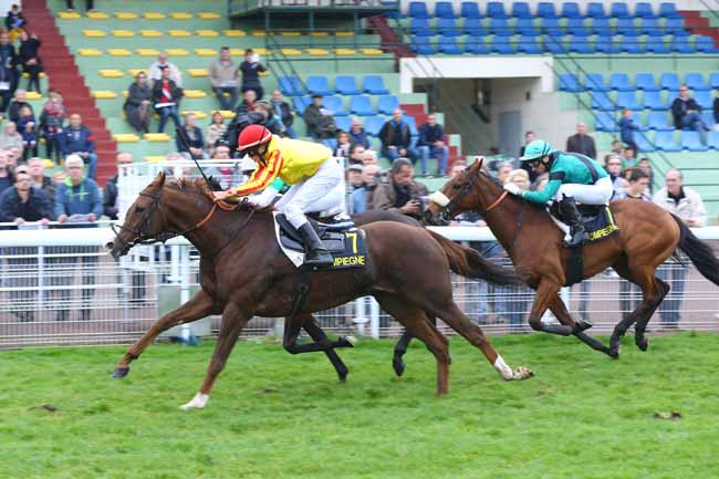 Photo d'arrivée de la course pmu PRIX ANNIE DONGUY à COMPIEGNE le Vendredi 28 octobre 2016