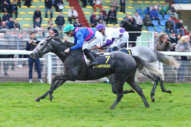 Photo d'arrivée de la course pmu PRIX DE LA CHATAIGNERAIE à COMPIEGNE le Vendredi 28 octobre 2016