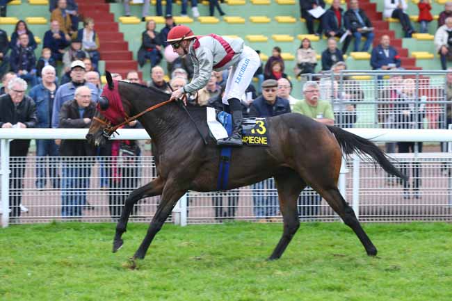 Photo d'arrivée de la course pmu PRIX DE VAUDRAMPONT à COMPIEGNE le Vendredi 28 octobre 2016