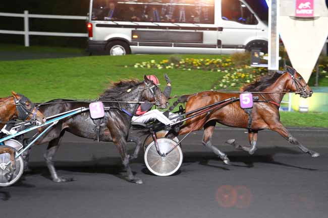 Photo d'arrivée de la course pmu PRIX GISELLA à PARIS-VINCENNES le Vendredi 28 octobre 2016