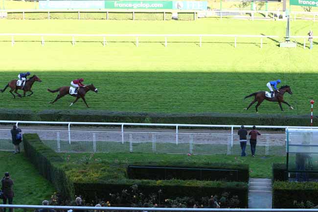 Photo d'arrivée de la course pmu CRITERIUM INTERNATIONAL à SAINT-CLOUD le Dimanche 30 octobre 2016