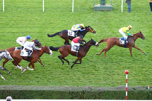 Photo d'arrivée de la course pmu PRIX DE SAINT-MACLOU à SAINT-CLOUD le Dimanche 30 octobre 2016