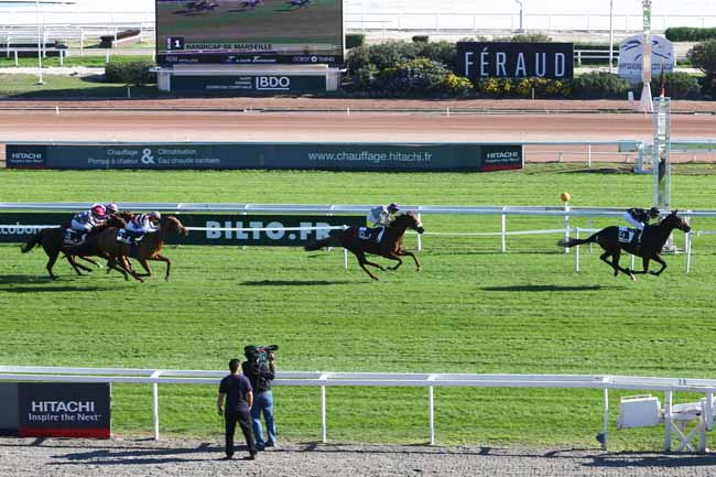 Photo d'arrivée de la course pmu HANDICAP DE MARSEILLE à CAGNES-SUR-MER le Lundi 31 octobre 2016