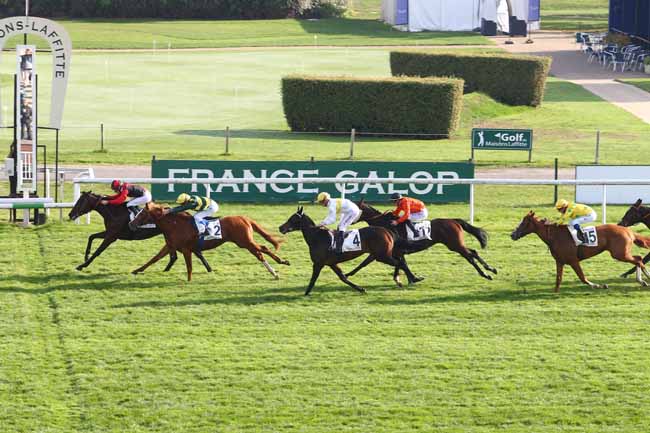 Photo d'arrivée de la course pmu PRIX DU BRIONNAIS à MAISONS-LAFFITTE le Mardi 1 novembre 2016